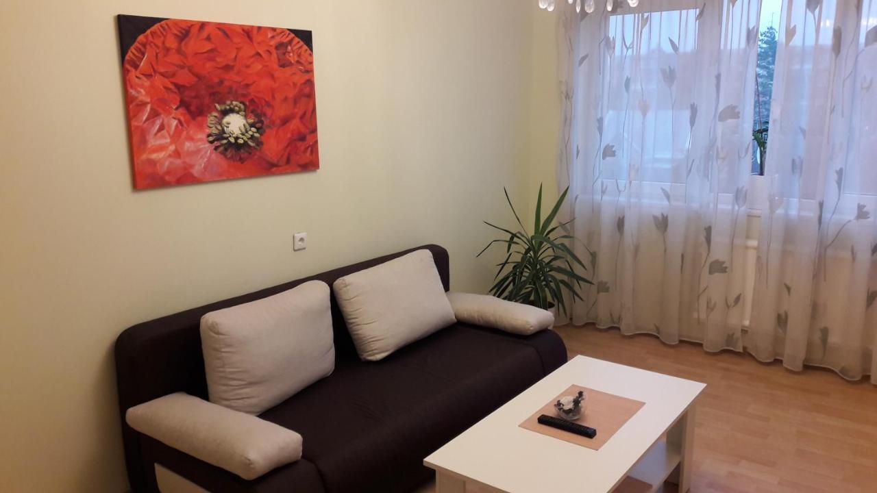 PanevėžysGrazinos Apartamentai公寓 外观 照片